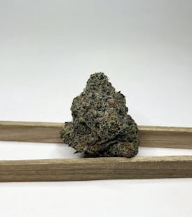 Alma Cannabis - Animal Tree Flower (Taxes Included)