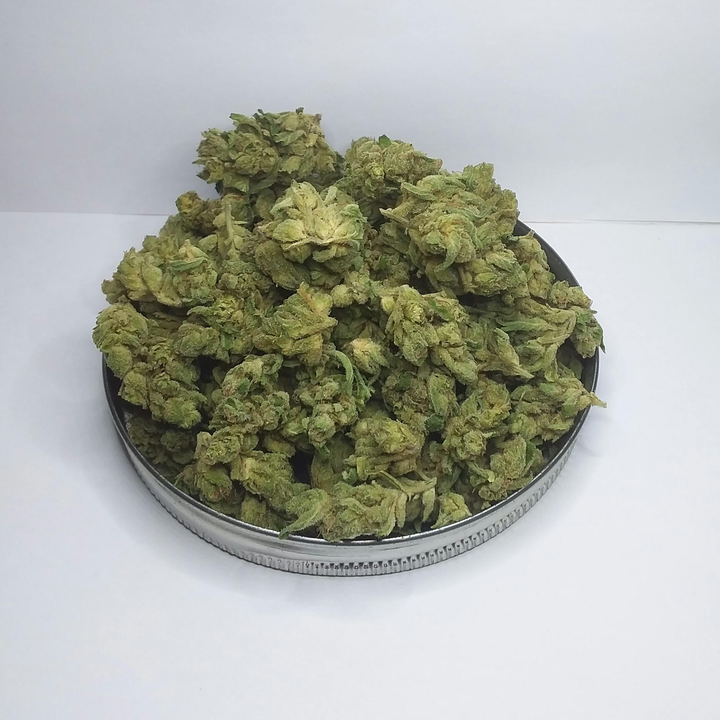 Method Grow- Honey Bee Smalls (Taxes Included) at Big Chief Collective Duncan