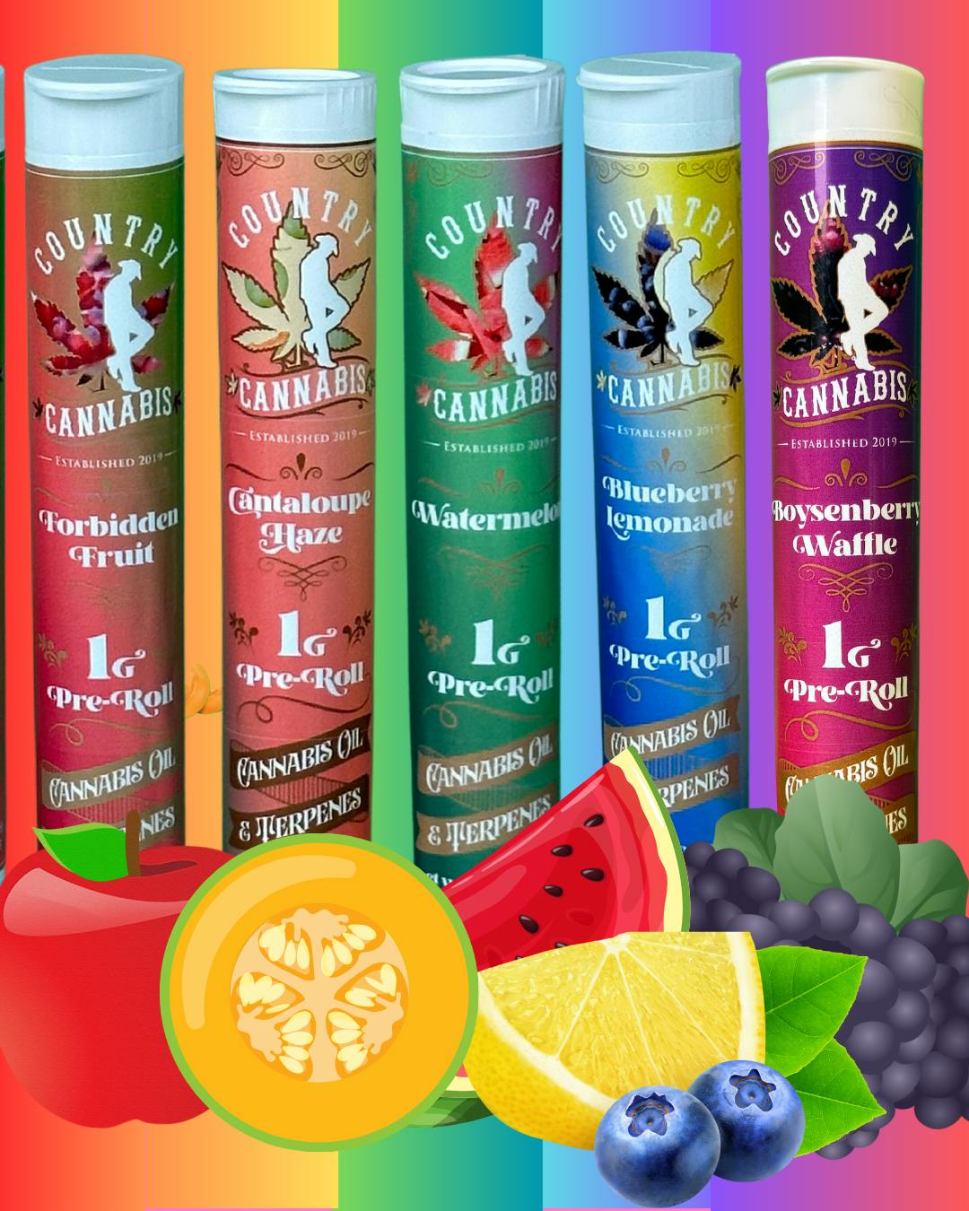 Dragon Fruit | Infused Pre-Roll | 1G by Country Cannabis