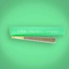 Tribe | King Le Pew | Joint | 1g at Empire Extracts