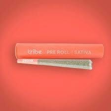 Tribe | Focus Punch | Joint | 1g at Empire Extracts