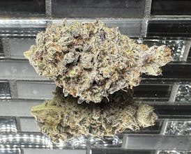 Sirius Research - LUXOR (Taxes Included)