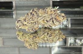 Well Rooted Genetics - Great White Buffalo Flower (Taxes Included)