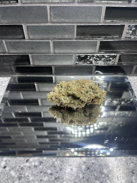 Well Rooted Genetics - Oaksterdam OG Flower (Taxes Included)