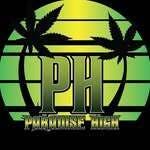 Paradise High | 1G Concentrate | Fruit Pie