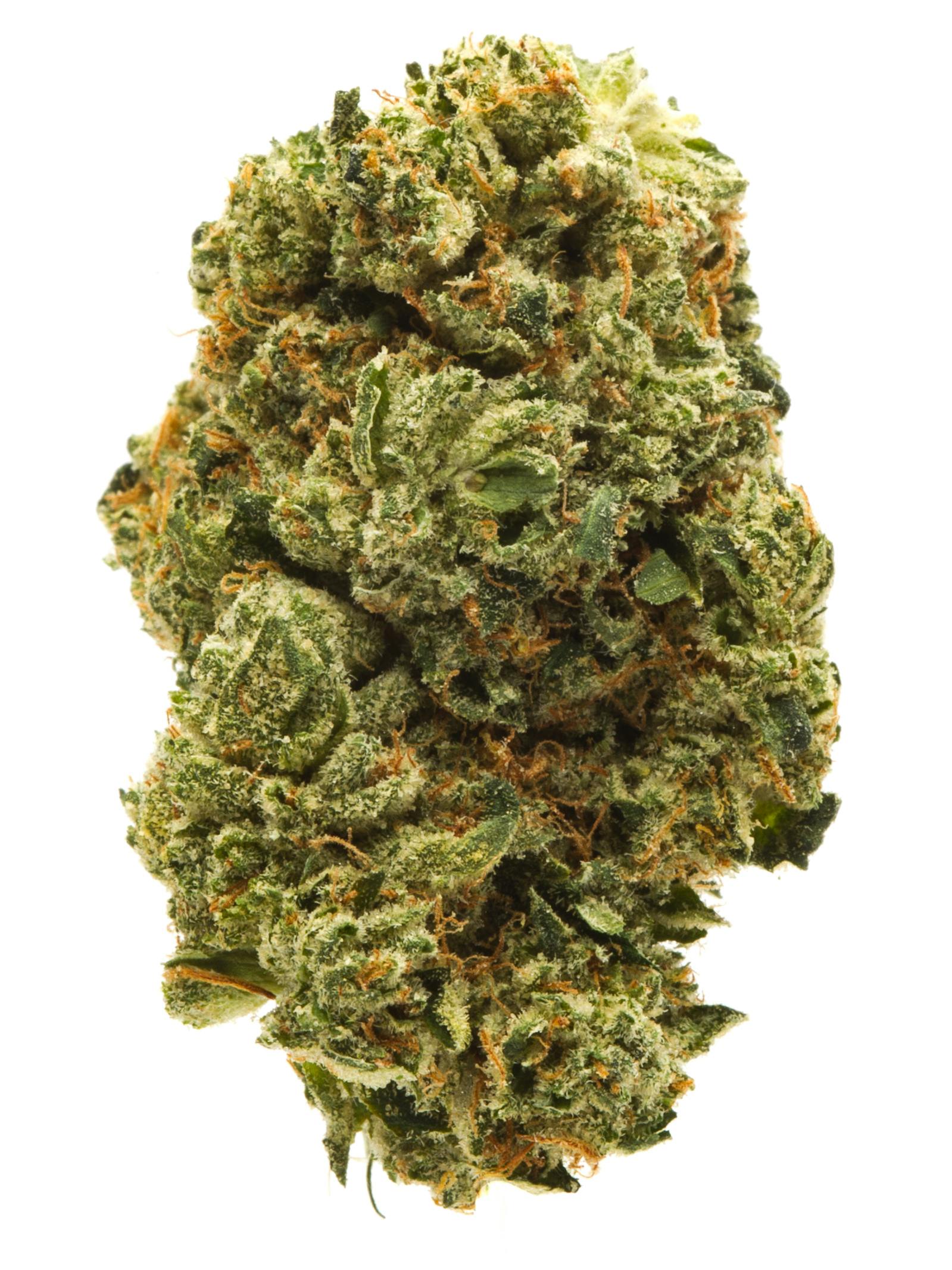 SUPER SILVER HAZE: SUPER SILVER HAZE 28G