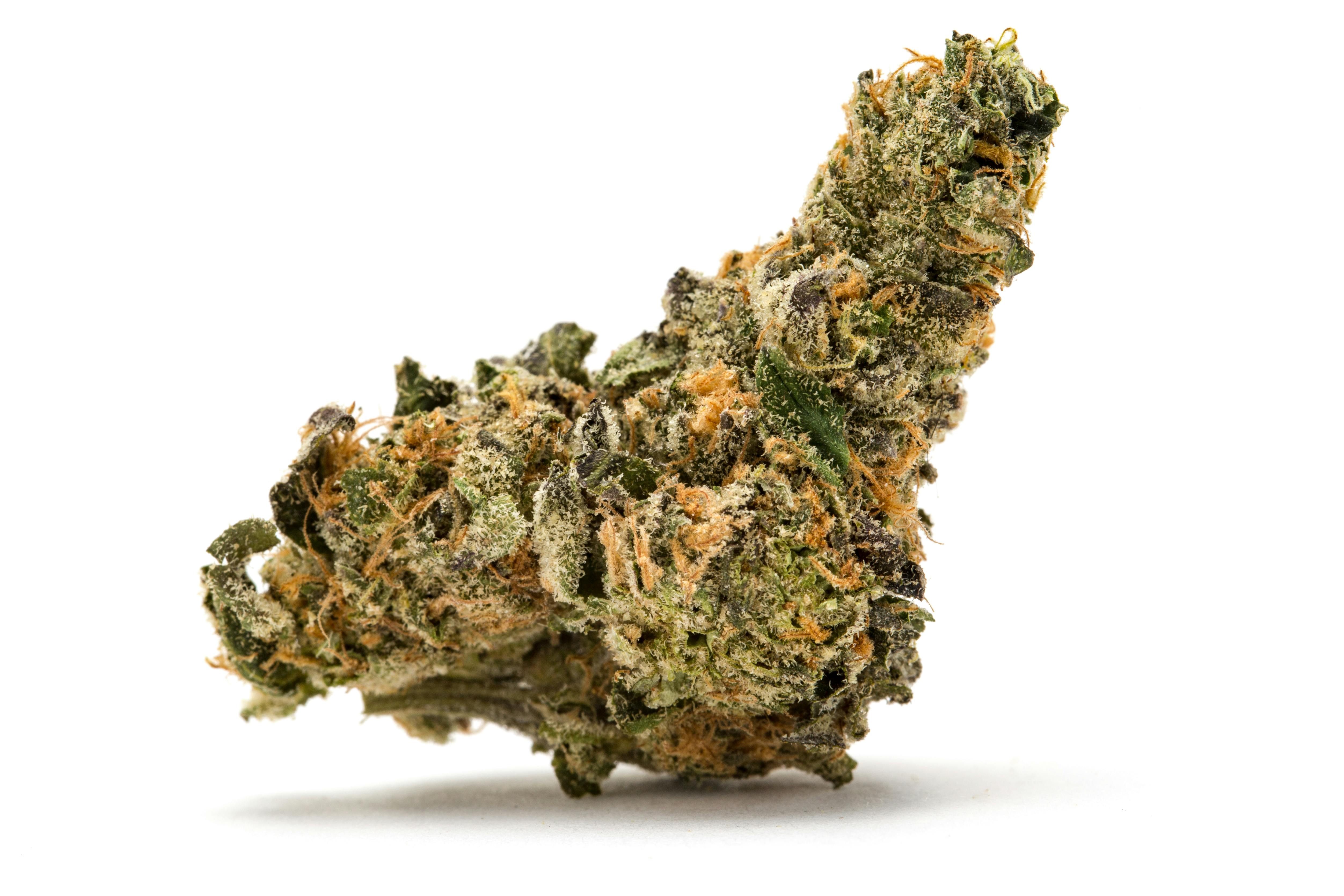 LODI DODI: LODI DODI 3.5G