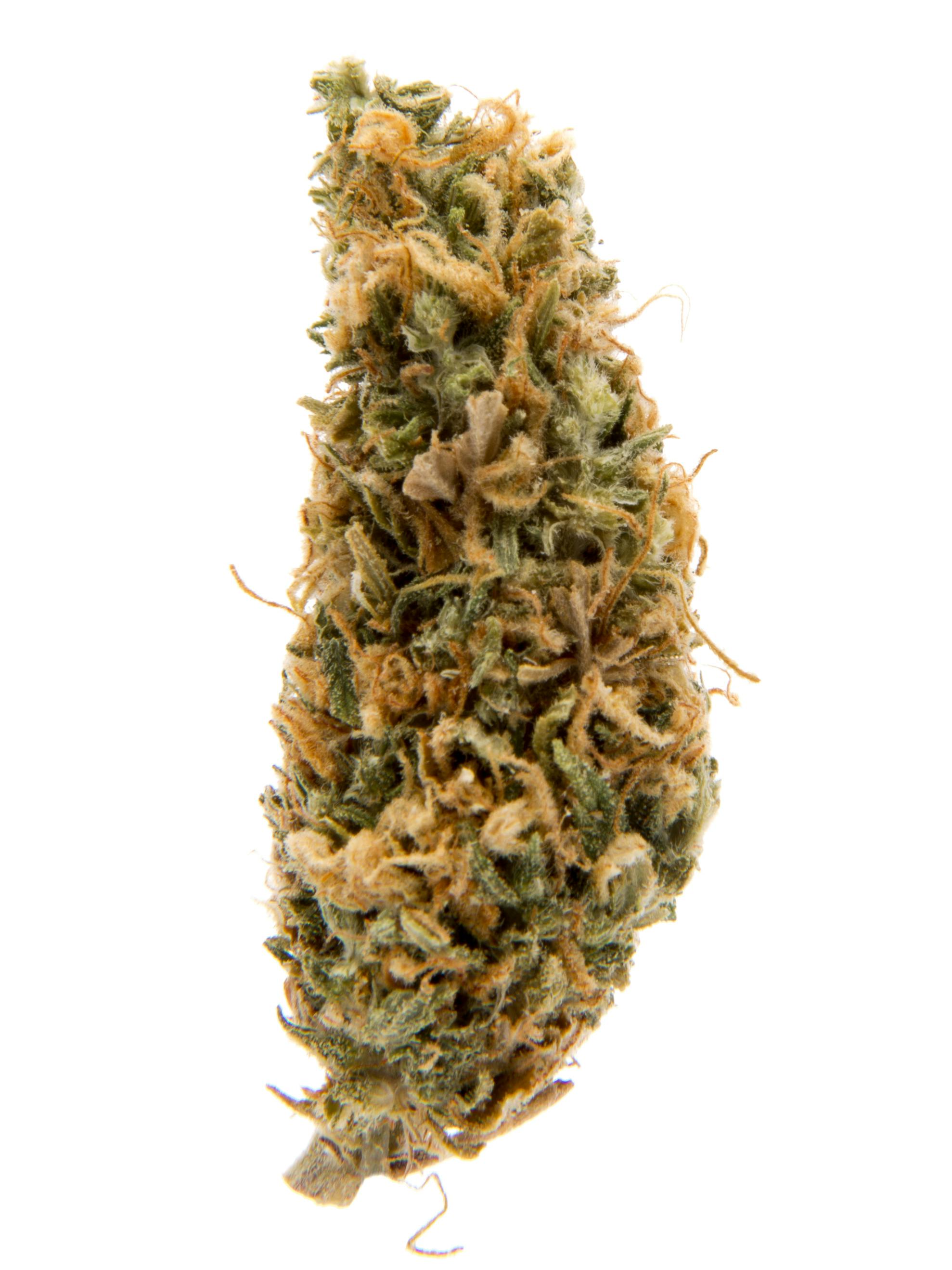 HAZE BERRY: HAZE BERRY 3.5G