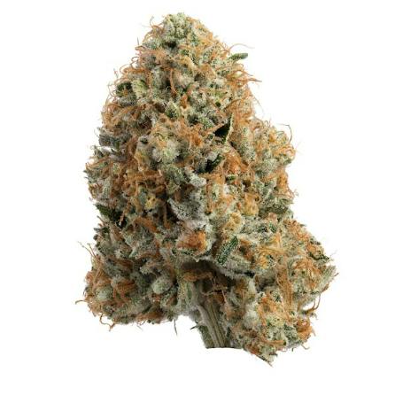 Hawg | Big Buds | 3.5g