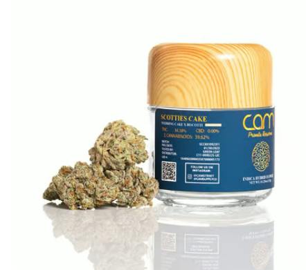 CAM | Planet Z Bx1 | Big Buds | 3.5g by CAM