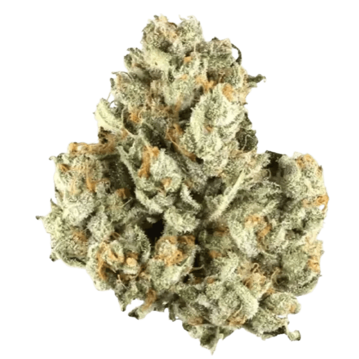 Blueberry Cupcake