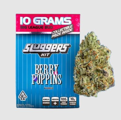 Berry Poppins 10G