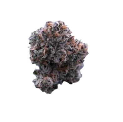 Simple Jack 3.5G