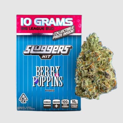 Berry Poppins 10G