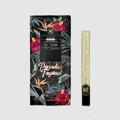 Paradiso Tropical: Hole Single