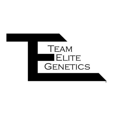 Team Elite Genetics: Cream Cheese