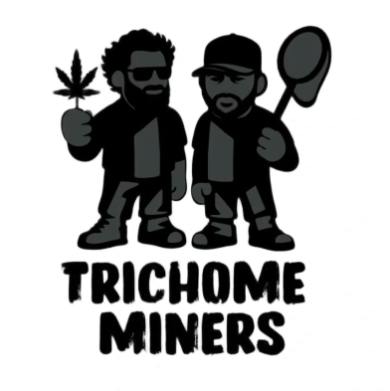 Strawberry Lawn Chair Live Rosin (Tier 2) 1G