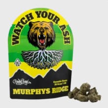 Nic the Bruiser 28G