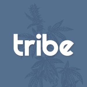 3.5g Bridezilla | Live Sugar | Tribe