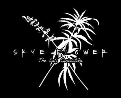 1g Diddy Oil | Preroll | Skye Flower