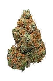 Farm Science | Kona Gold