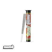 Numb | Apple Fritter | Infused Pre-Roll 1G