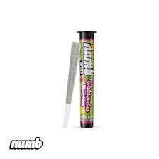 Numb | Watermelon Sorbet | Infused Pre Roll | 1.2G