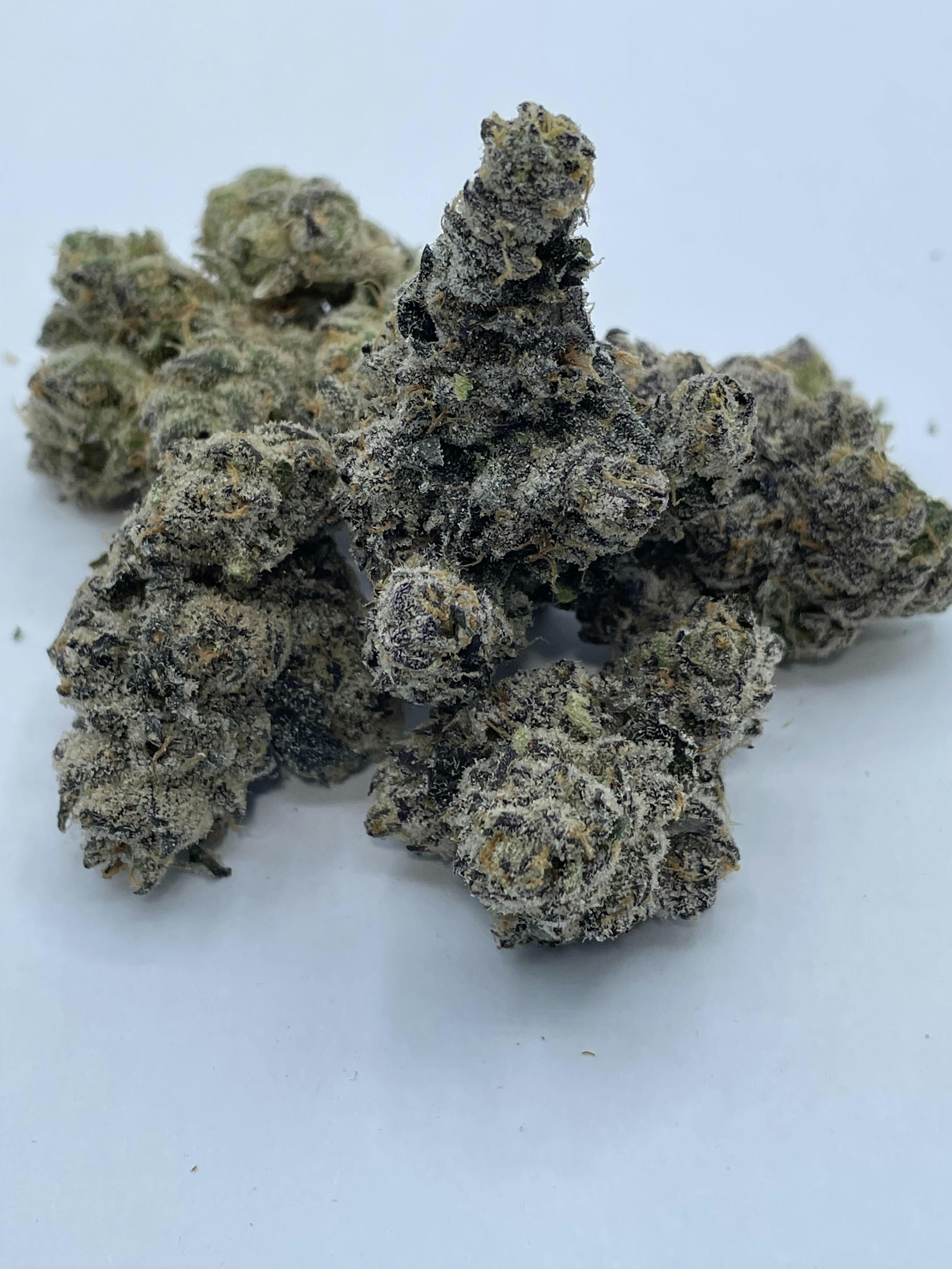 Farm Science | Hawaiian Skunk