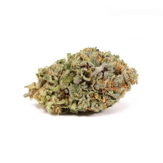 Nura | Blueberry Cruffin | Big Buds by Nura