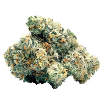 Great Lake Leaf Shot Caller 28g Pre Pack Oz