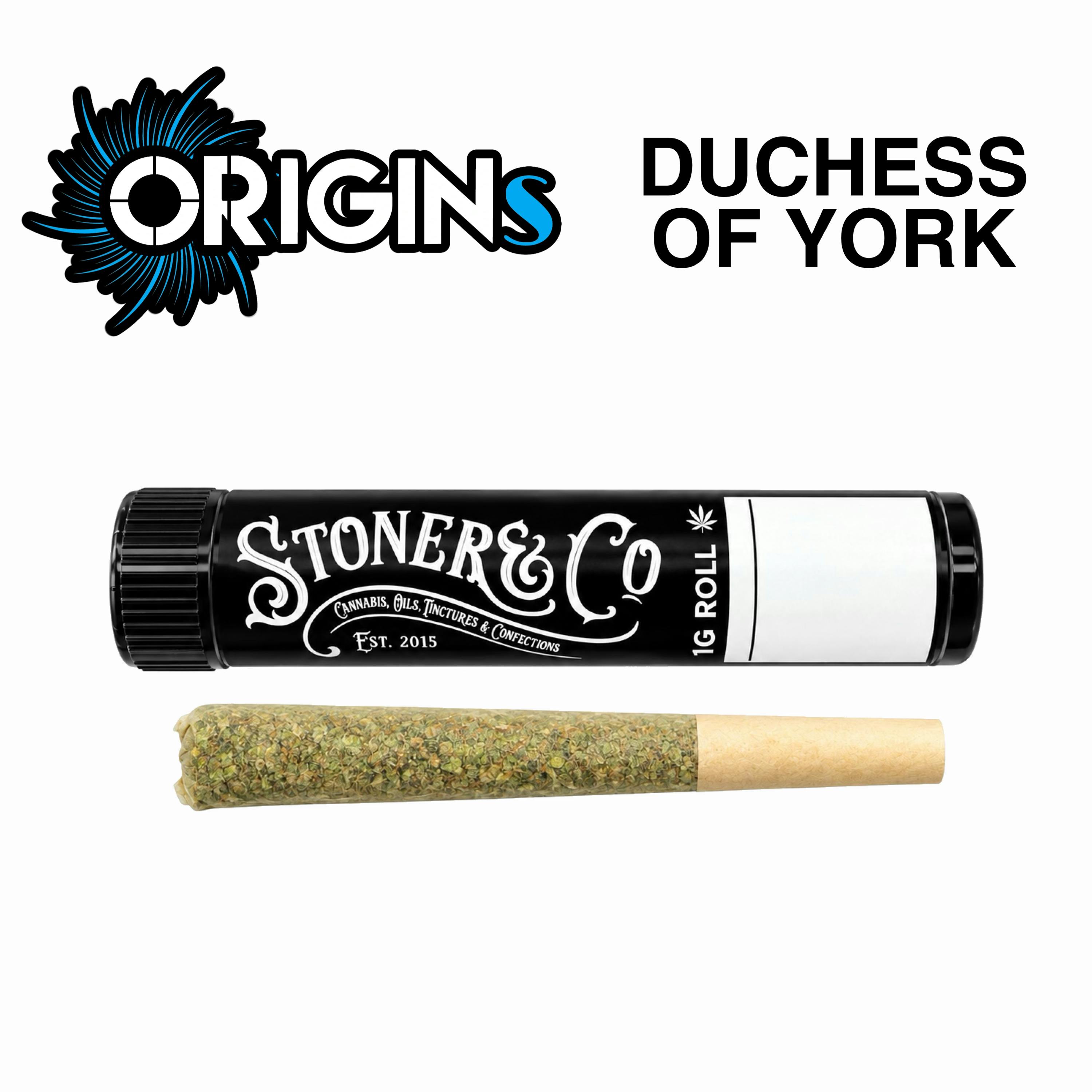 Duchess of York Pre Roll by Stoner&Co