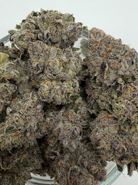 GMO Flower