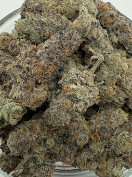 NEW!!! Gasberry Pie Flower