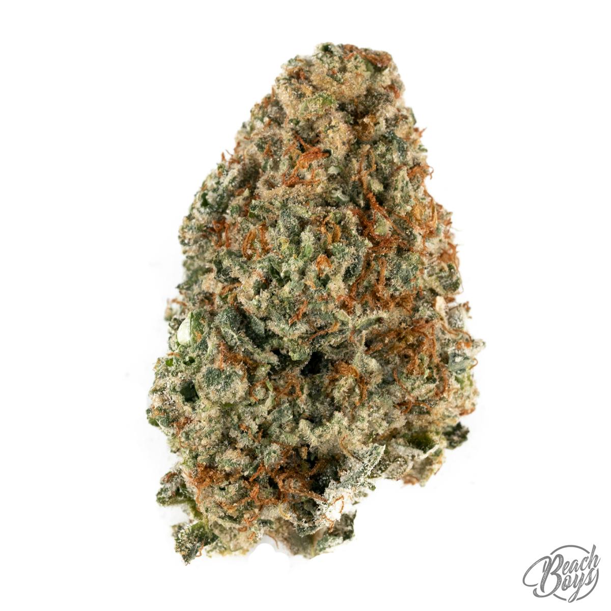 Barn Burner - Hoot Family Farms