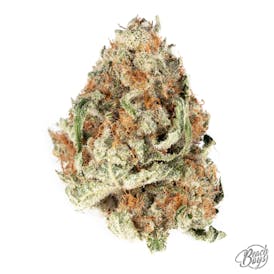 Mimosa - Maine's Honest Herb Co.