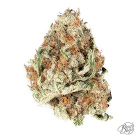 Mimosa - Maine's Honest Herb Co.