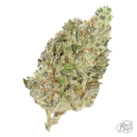Dosi x Kush Cleaner - Grapevine Cannabis