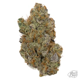 GMO - Mentation Cannabis