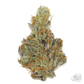 GMO - Mentation Cannabis