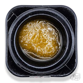 Gas Face Live Resin 1g - Harbor Coastal x Oasis Refinery