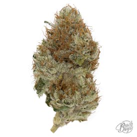 Block Work Haze *LIMITED* - Beyond Organics