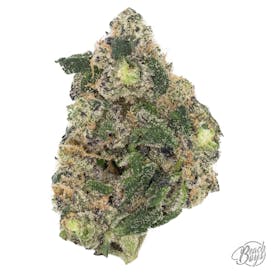 Grape Gas - Harbor Coastal