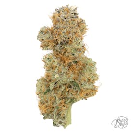 Pavé - Faded Cannabis Co.