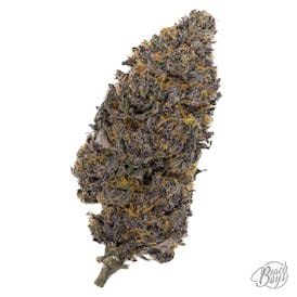 Ice Cream Sherb ($20 1/8!) - Grapevine Cannabis