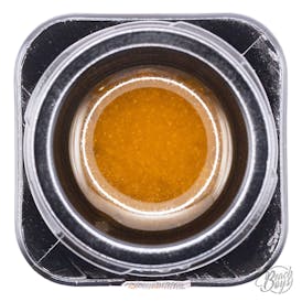 Sherb Cream Pie Live Resin 1g - Harbor Coastal Cannabis