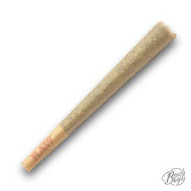 Blue Runtz Pre-Roll 1g - Northern Terps