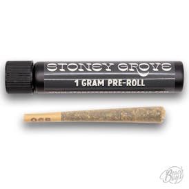1g Blue Zushi Pre roll - Stoney Grove