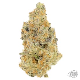First Class Funk - Lodestar Cannabis