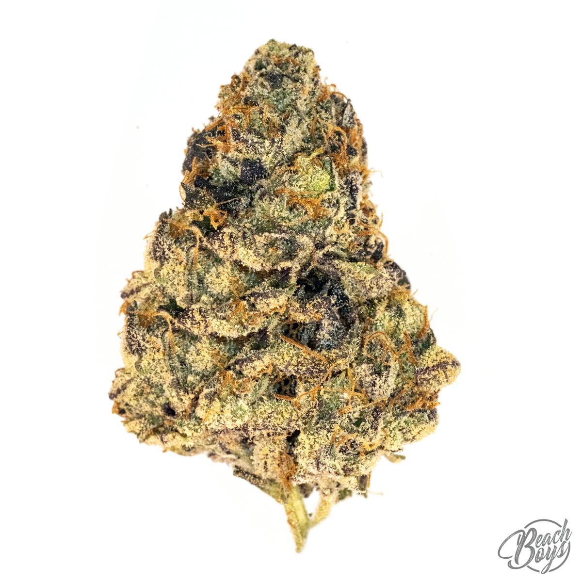 Blue Zushi - Bad Apple Farms
