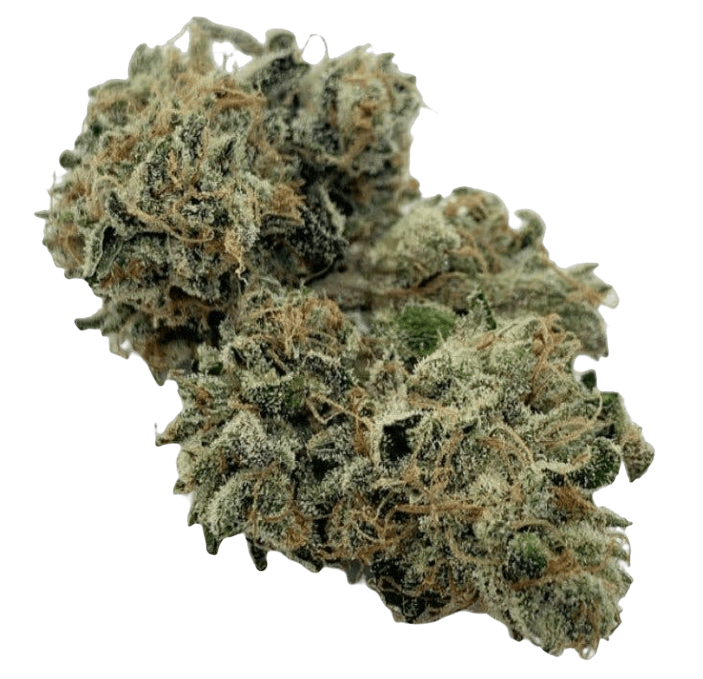River Driver Cannabis Co - Brunswick, Maine Marijuana Dispensary